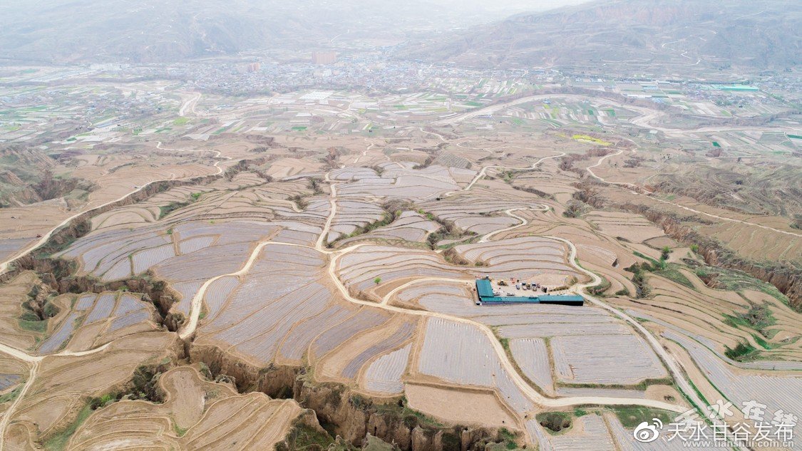 ks一键取赞神器app