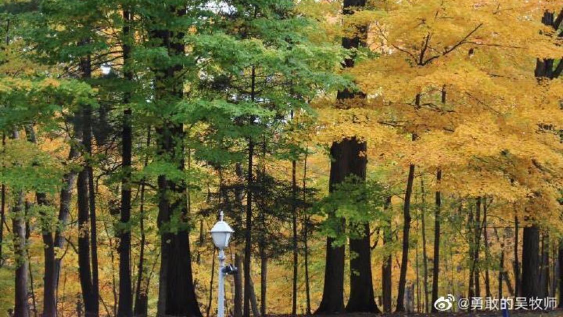 昨日社交推广品牌化塑造您的电商矩阵,操作简单,效果显著,抖音自助下单平台置顶：短视频内容推广策略指南